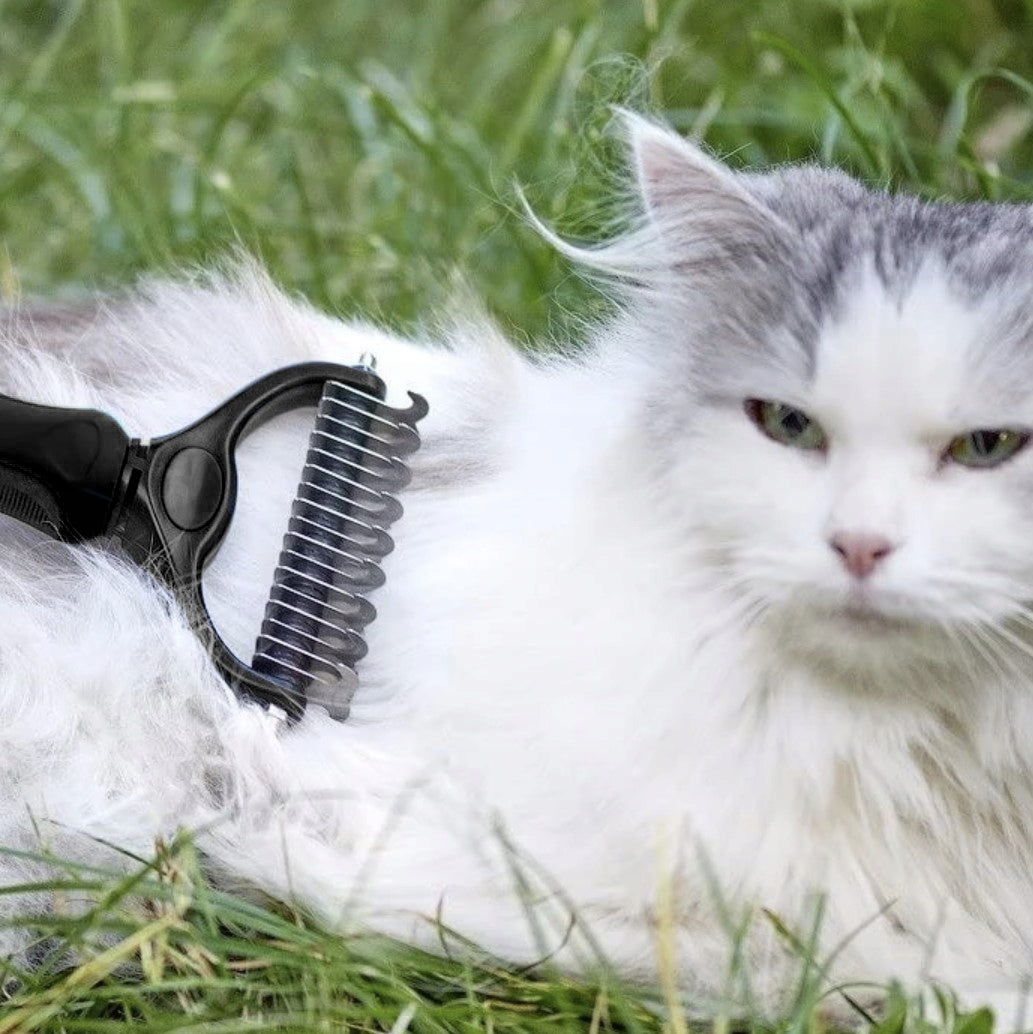 d98ddfb65f90c5d3c2005a63df66a607 d98ddfb65f90c5d3c2005a63df66a607